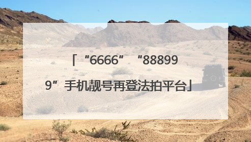 “6666”“888999”手机靓号再登法拍平台