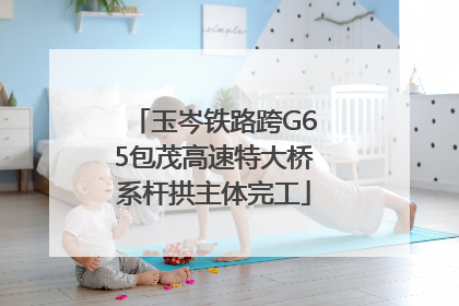 玉岑铁路跨G65包茂高速特大桥系杆拱主体完工