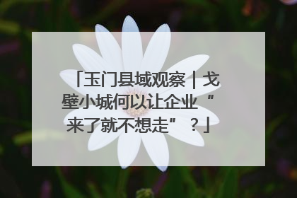 玉门县域观察｜戈壁小城何以让企业“来了就不想走”？