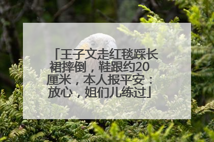 王子文走红毯踩长裙摔倒，鞋跟约20厘米，本人报平安：放心，姐们儿练过