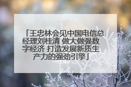 王忠林会见中国电信总经理刘桂清 做大做强数字经济 打造发展新质生产力的强劲引擎