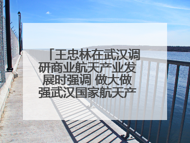 王忠林在武汉调研商业航天产业发展时强调 做大做强武汉国家航天产业基地 打造具有全国影响力的“中国星谷”