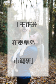 王正谱在秦皇岛市调研