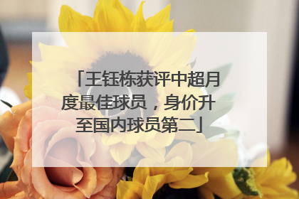 王钰栋获评中超月度最佳球员，身价升至国内球员第二