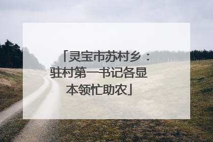 灵宝市苏村乡：驻村第一书记各显本领忙助农