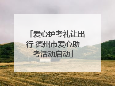 爱心护考礼让出行 德州市爱心助考活动启动