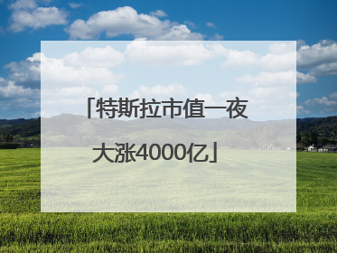 特斯拉市值一夜大涨4000亿