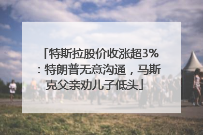 特斯拉股价收涨超3%：特朗普无意沟通，马斯克父亲劝儿子低头