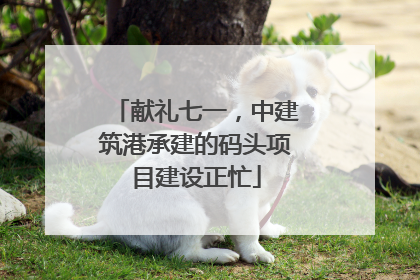 献礼七一，中建筑港承建的码头项目建设正忙
