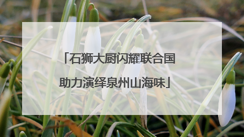 石狮大厨闪耀联合国 助力演绎泉州山海味