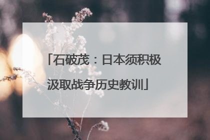 石破茂：日本须积极汲取战争历史教训