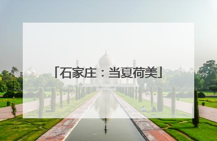 石家庄：当夏荷美
