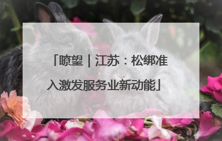 瞭望｜江苏：松绑准入激发服务业新动能