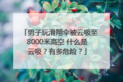 男子玩滑翔伞被云吸至8000米高空 什么是云吸？有多危险？