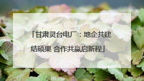 甘肃灵台电厂：地企共建结硕果 合作共赢启新程