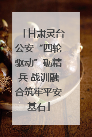 甘肃灵台公安“四轮驱动”砺精兵 战训融合筑牢平安基石