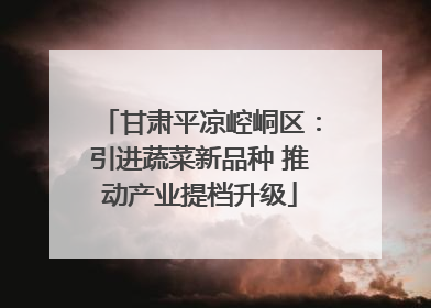 甘肃平凉崆峒区：引进蔬菜新品种 推动产业提档升级