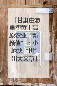 甘肃庄浪重塑黄土高原农业“新颜值”：小地块“拼”出大文章