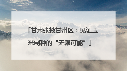 甘肃张掖甘州区：见证玉米制种的“无限可能”
