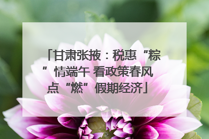 甘肃张掖：税惠“粽”情端午 看政策春风点“燃”假期经济