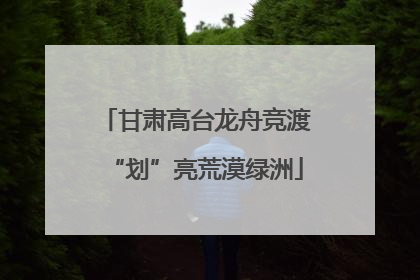 甘肃高台龙舟竞渡“划”亮荒漠绿洲