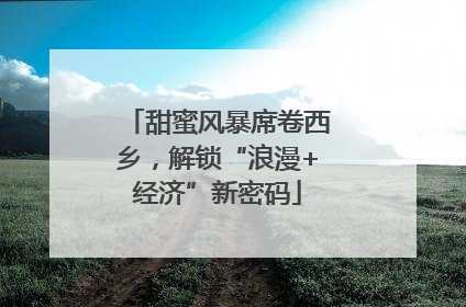 甜蜜风暴席卷西乡，解锁“浪漫+经济”新密码