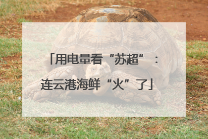 用电量看“苏超”：连云港海鲜“火”了