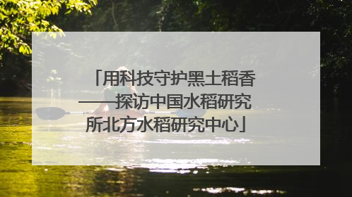 用科技守护黑土稻香——探访中国水稻研究所北方水稻研究中心