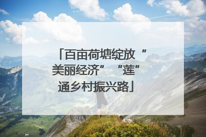 百亩荷塘绽放“美丽经济”“莲”通乡村振兴路