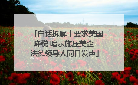 白话拆解丨要求美国降税 暗示施压美企 法德领导人同日发声