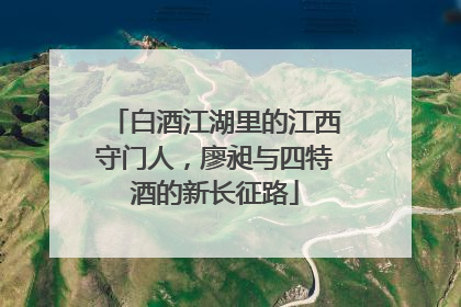 白酒江湖里的江西守门人，廖昶与四特酒的新长征路