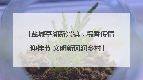 盐城亭湖新兴镇：粽香传情迎佳节 文明新风润乡村
