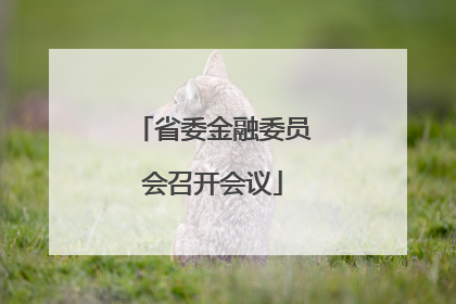 省委金融委员会召开会议