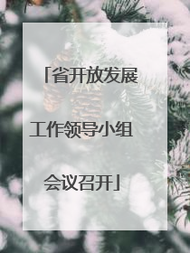 省开放发展工作领导小组会议召开