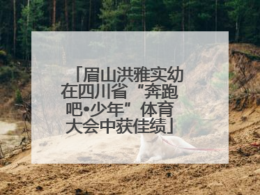 眉山洪雅实幼在四川省“奔跑吧•少年”体育大会中获佳绩