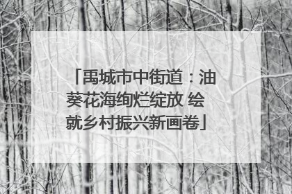 禹城市中街道：油葵花海绚烂绽放 绘就乡村振兴新画卷