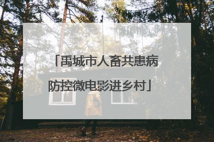 禹城市人畜共患病防控微电影进乡村