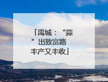 禹城：“蒜”出致富路 丰产又丰收