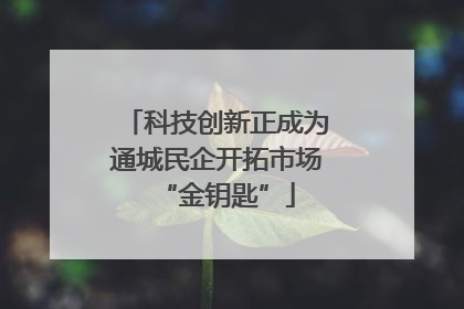科技创新正成为通城民企开拓市场“金钥匙”