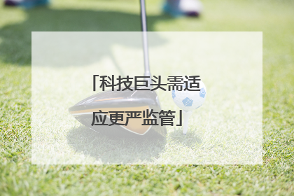 科技巨头需适应更严监管
