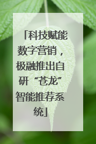 科技赋能数字营销，极融推出自研“苍龙”智能推荐系统