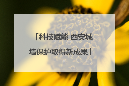 科技赋能 西安城墙保护取得新成果