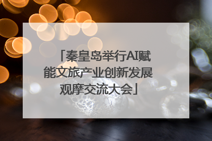 秦皇岛举行AI赋能文旅产业创新发展观摩交流大会