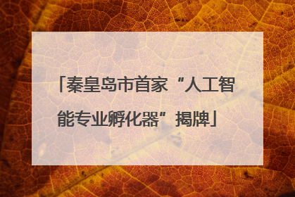 秦皇岛市首家“人工智能专业孵化器”揭牌