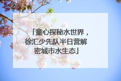 童心探秘水世界，徐汇少先队半日营解密城市水生态