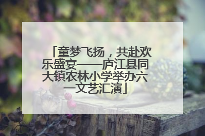 童梦飞扬，共赴欢乐盛宴——庐江县同大镇农林小学举办六一文艺汇演