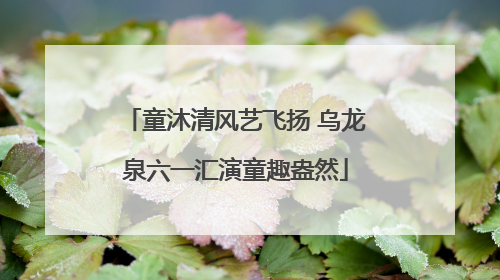 童沐清风艺飞扬 乌龙泉六一汇演童趣盎然