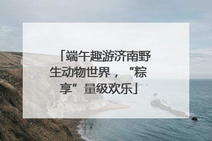 端午趣游济南野生动物世界，“粽享”量级欢乐