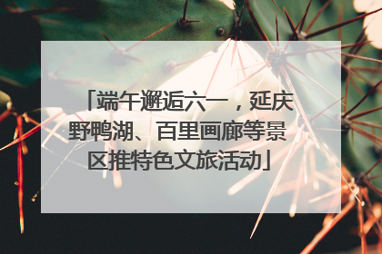 端午邂逅六一，延庆野鸭湖、百里画廊等景区推特色文旅活动