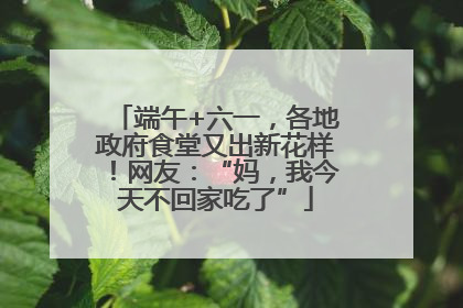 端午+六一，各地政府食堂又出新花样！网友：“妈，我今天不回家吃了”